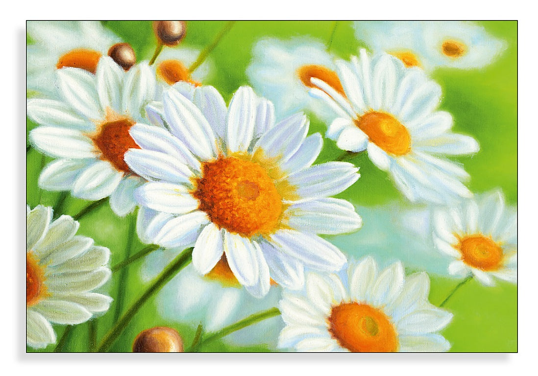 FJK_2023_F186-gedreht_web