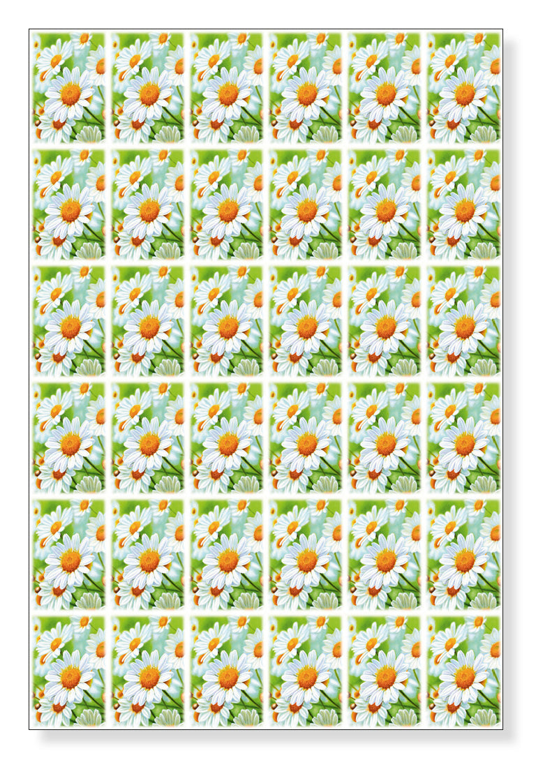  Carta da regalo «Primavera/Estate 2026»