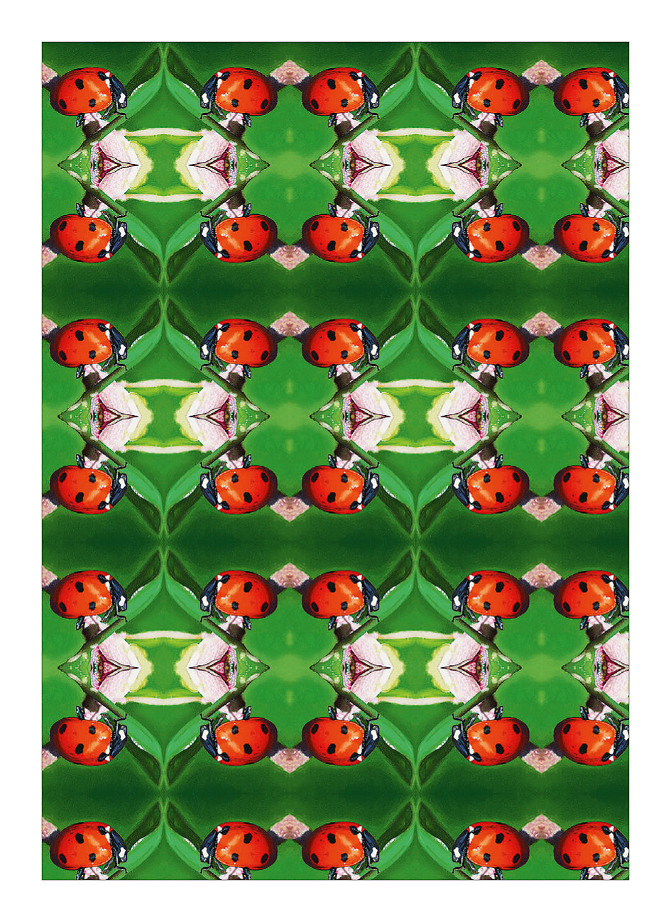 Geschenkpapier21_GP02_webzOXqQ7YDhJQHi